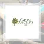 Capital Arborists Incorporated Logo