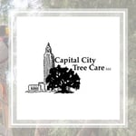 Capital City Tree Llc Logo
