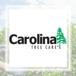 Carolina Tree Equipment Inc Logo