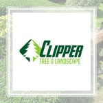Clipper Tree Logo
