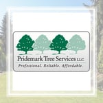 Condren Tree Service Logo