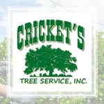 Crickets Tree Service Inc Logo