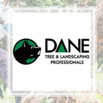 Dane Service Inc Logo
