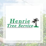 Dnh Services Inc Logo