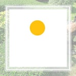 Fluent Tree Proffessionals Llc Logo