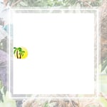 Green All Season Tree Service Logo