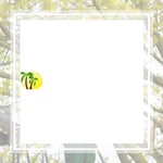 Green All Season Tree Service Inc Logo