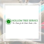 Hollow Tree Service Logo