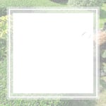 Horticultural Asset Mgt Inc Logo