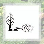 Hugos Tree Care Logo