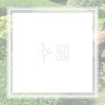 Levy Tree Care Logo