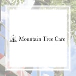 Mtn Services Llc Logo