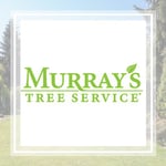 Murrays Tree Service Inc Logo