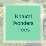 Natural Wonders Trees Logo