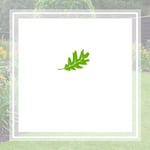 Northway Landscaping Logo