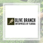 Olive Branch Entps Fla Logo