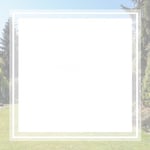 Overlook Tree Preservation Inc Logo