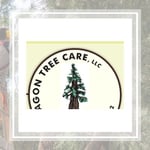 Paragon Tree Care Llc Logo