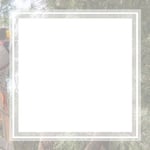 Pdx Tree Service Logo