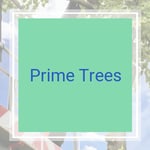 Prime Trees Logo