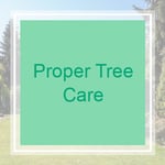 Proper Tree Care Logo
