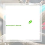 Rushton Tree Service Inc Logo