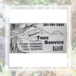 Sardina Mangroves & Trees Logo
