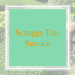 Scruggs Tree Service Logo