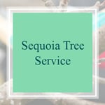 Sequoia Tree Service Logo