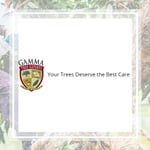 Shield Shade Tree Inc Logo