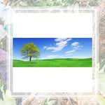 Southland Tree Service Inc Logo