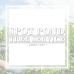 Spot Pond Tree Service Logo