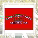 Spot Pond Tree Service Inc Logo