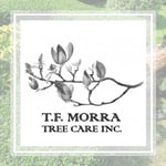 Tf Morra Tree Care Inc Logo