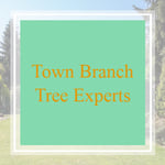 Town Branch Tree Experts Logo