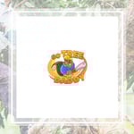 Treedaddy Llc Logo