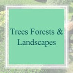 Trees Forests &amp; Landscapes Logo