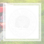 Trees Forests &amp; Landscapes Inc Logo