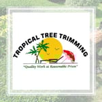 Tropical Tree Trimming Llc Logo