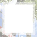 Vital Tree Service Logo