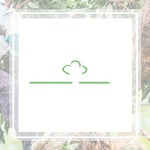 West Valley Arborists Inc Logo