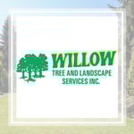 Willow Tree Service Logo