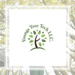 Youngs Tree Tech Llc Logo