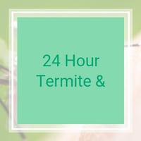 11 Best Pest Control Companies In Santa Monica Ca Exterminators