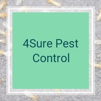 17 Best Pest Control Services In Cleveland Oh Exterminators