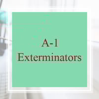 11 Best Pest Control Companies In West Jordan Ut Exterminators