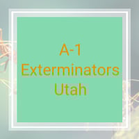 11 Best Pest Control Companies In Salt Lake City Ut Exterminators