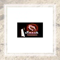 11 Best Pest Control Companies In Detroit Mi Exterminators