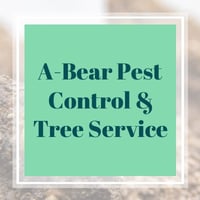 10 Best Pest Control Services in Seguin, TX | Exterminators