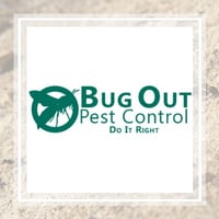 11 Best Pest Control Companies In Providence Ri Exterminators